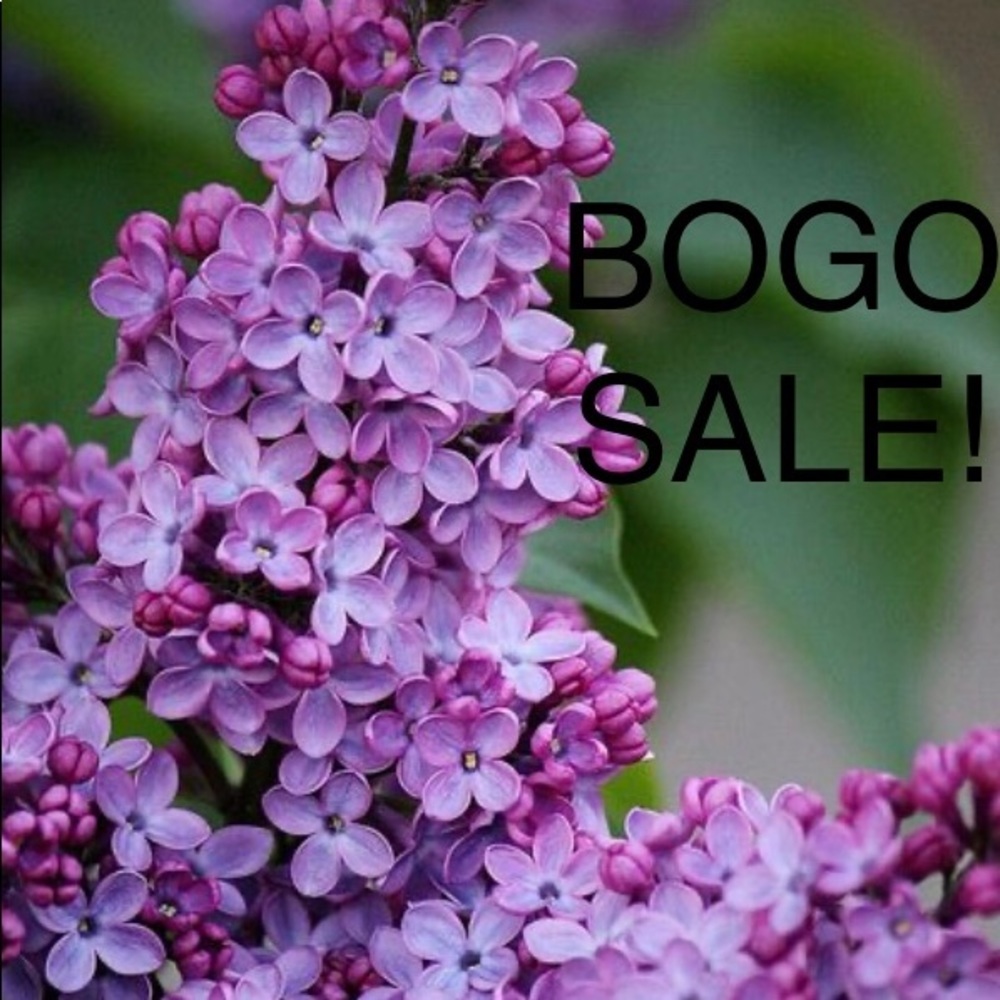 BUY ONE GET ONE FREE! 🌸 items $10 or less 🌸